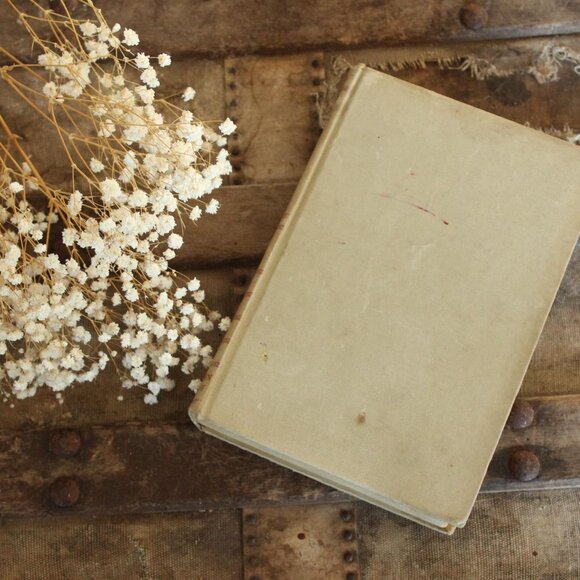 Vintage 1940s Book ,"Prince of Foxes" by Samuel Shellabarger, First Edition - Picture 1 of 10